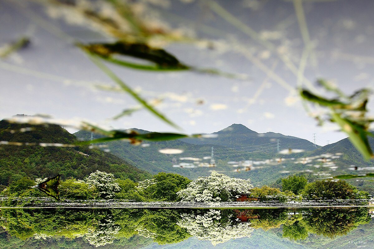 Taejŏng-jŏsuji