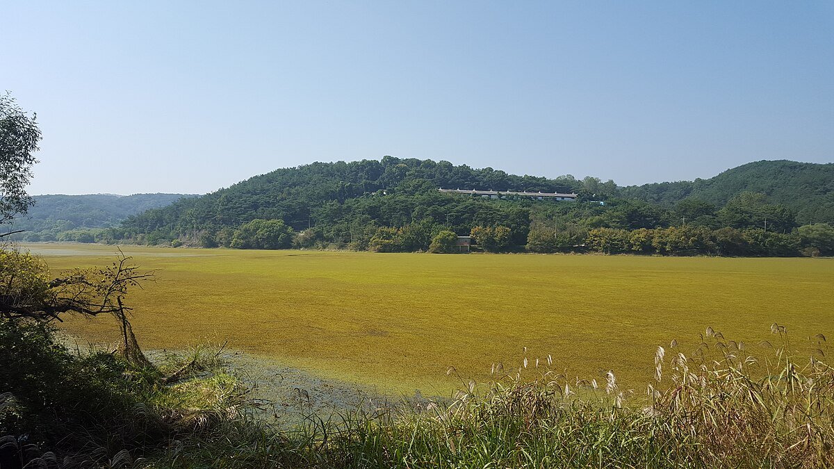 Dongsangul