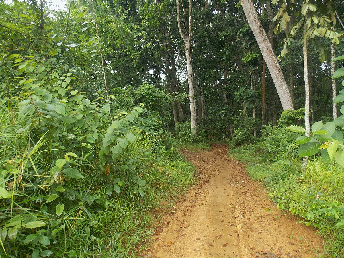 Gudawang