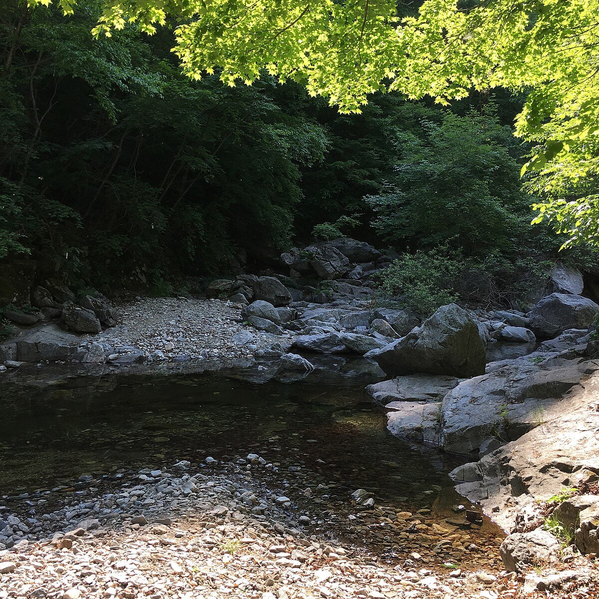 Surakpokpo