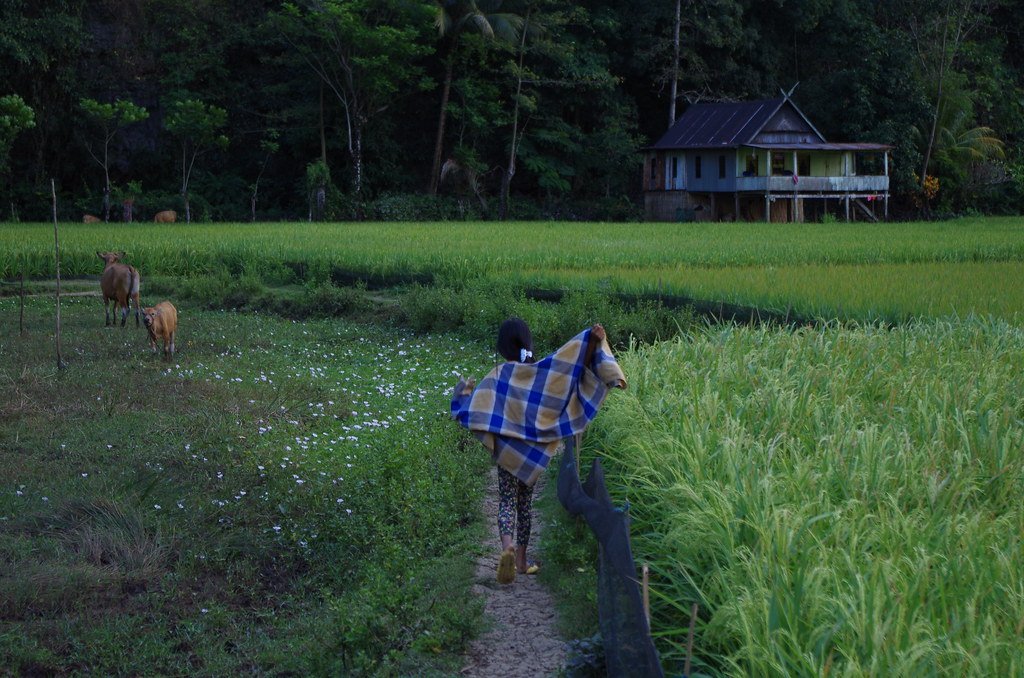 Batu Lompoa