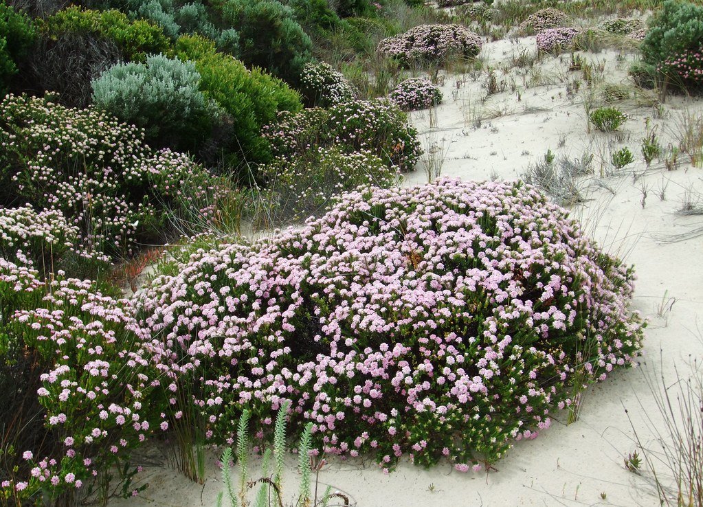 Banky Beach