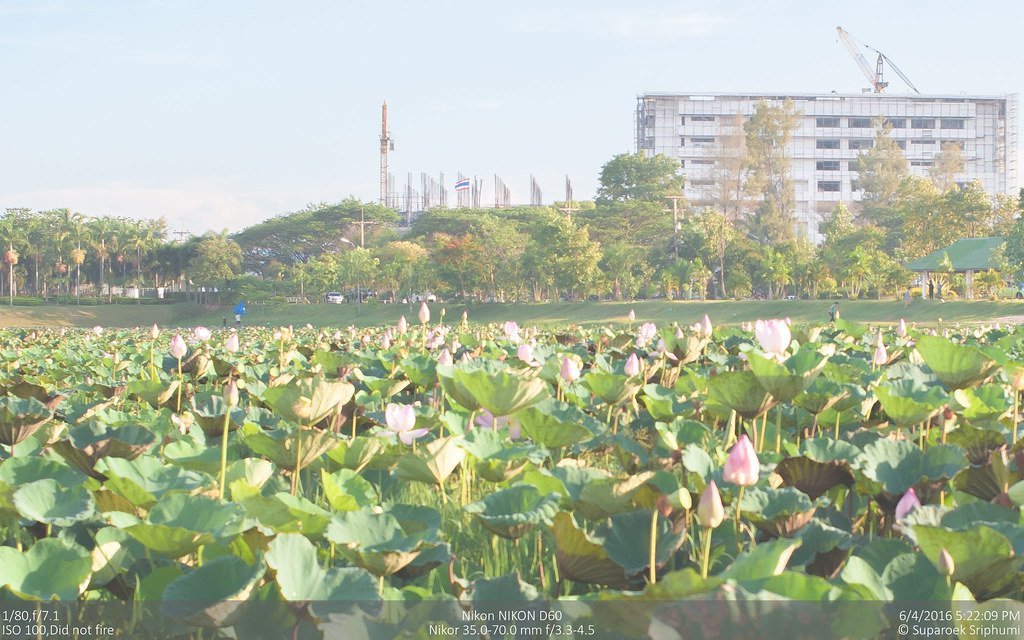 Ang Kep Nam Ban Song Tao