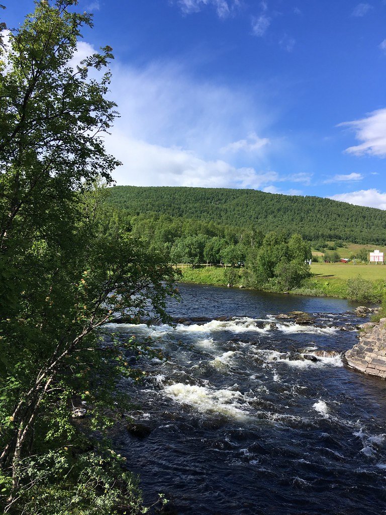 Tärnaglaciären