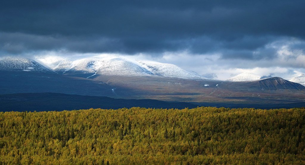 Palkatjekna