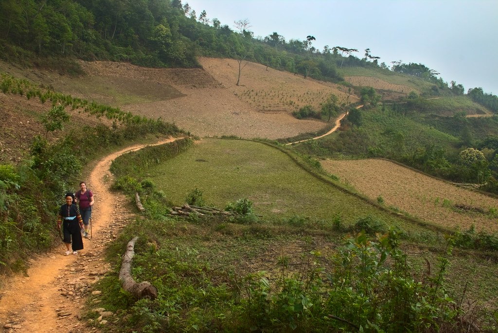 Cao Phang