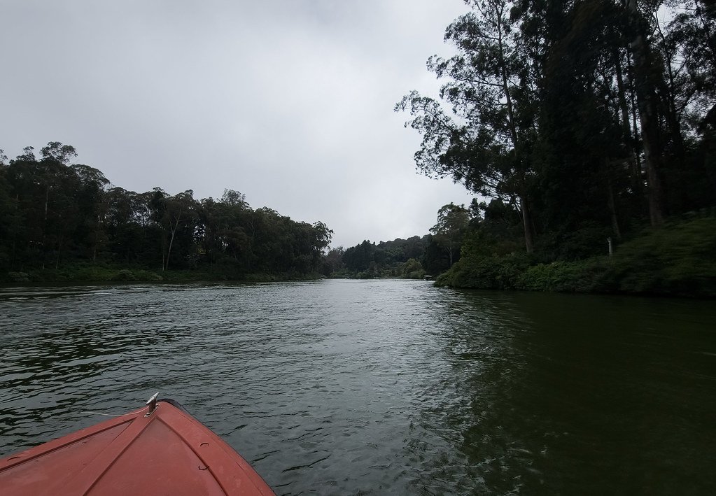 Karimpuzha National Park