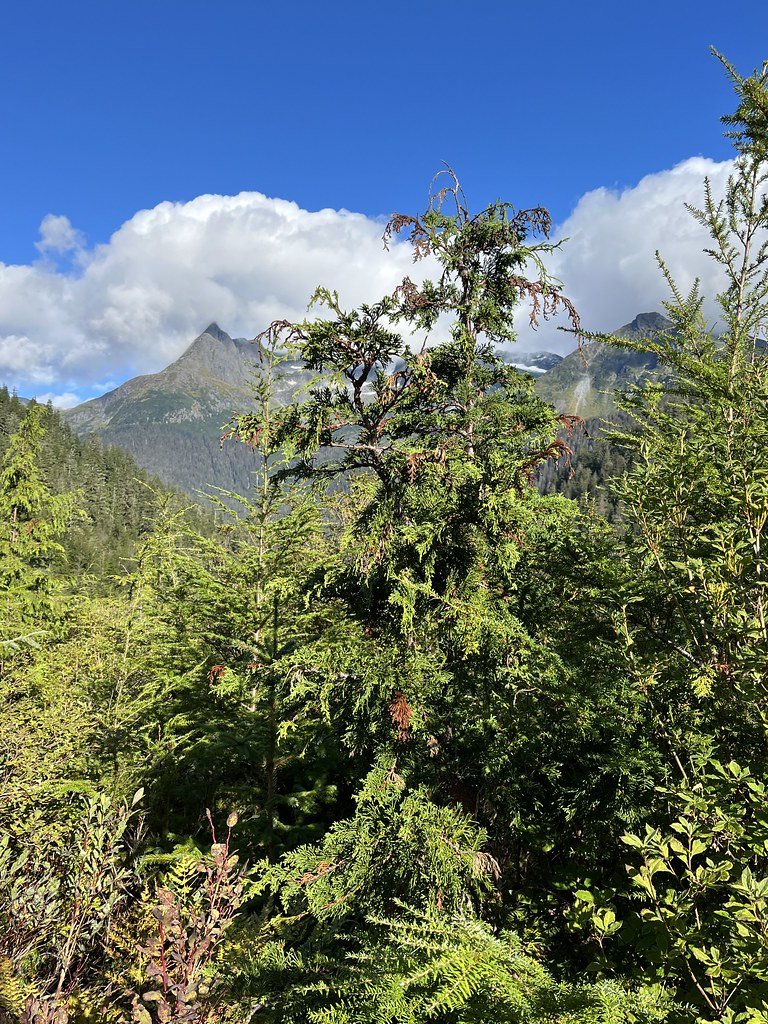 Antler Glacier