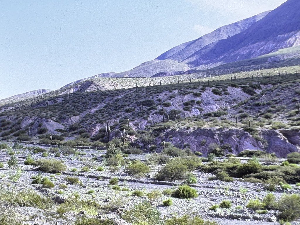 Cuevas de Acsibi