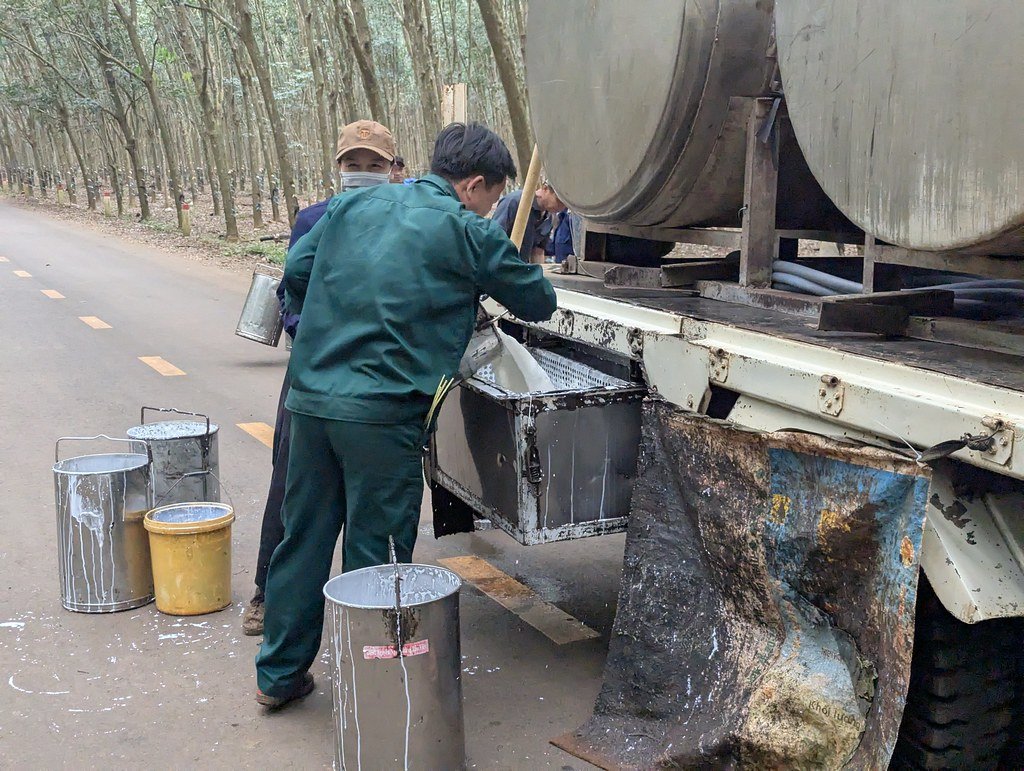 Hồ Đá Bàng