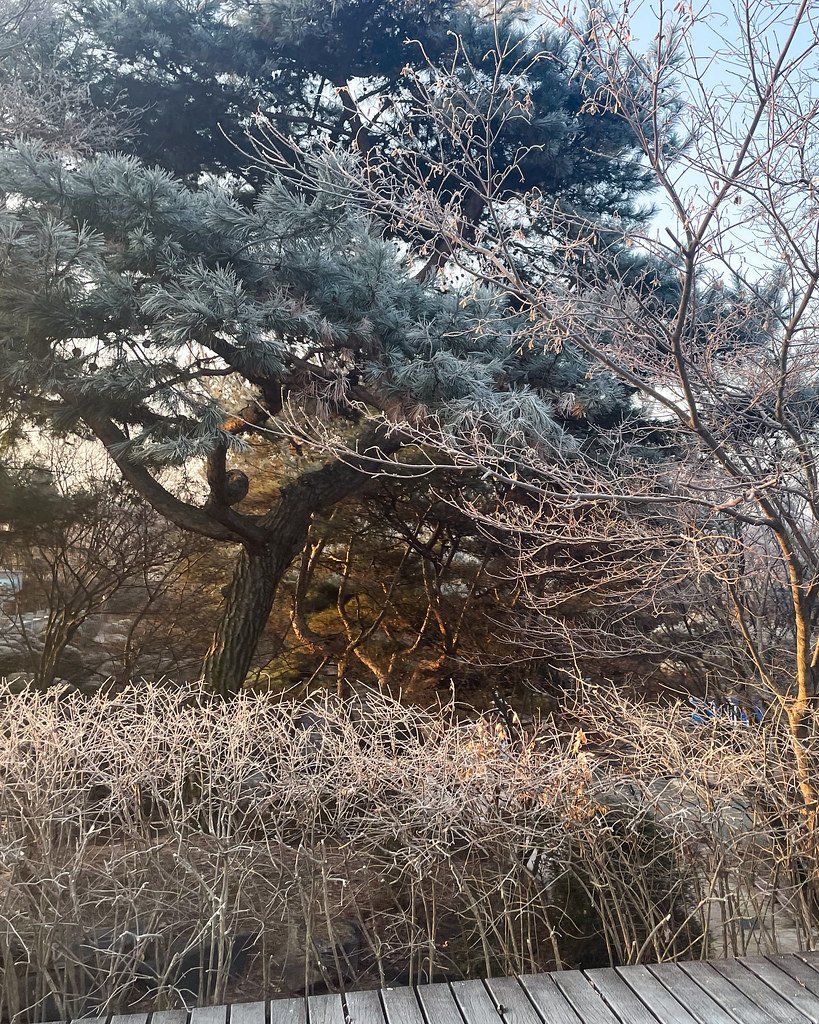 Hyochonjeosuji