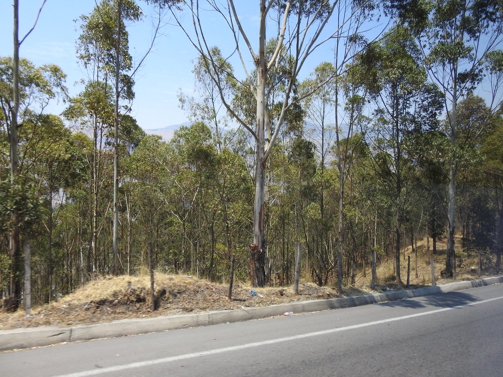 Laguna Culebrillas