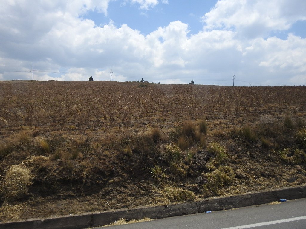 Cerro Colai