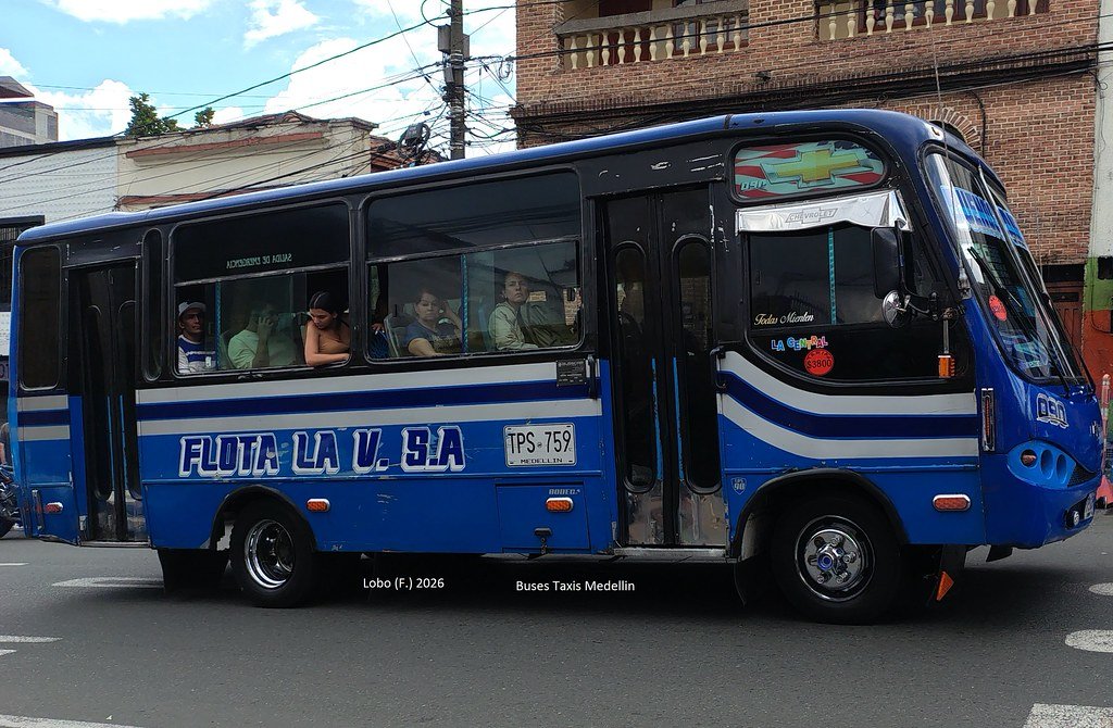 Alto Amoladora