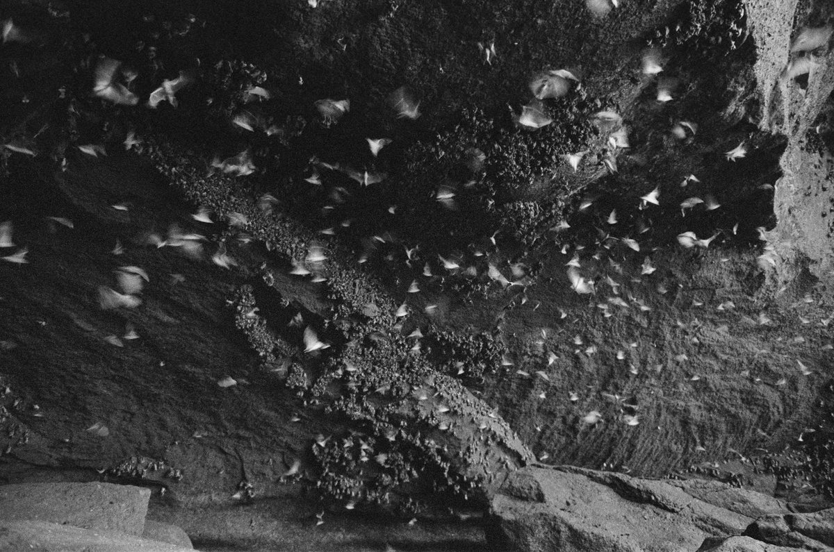 Harbi Cave