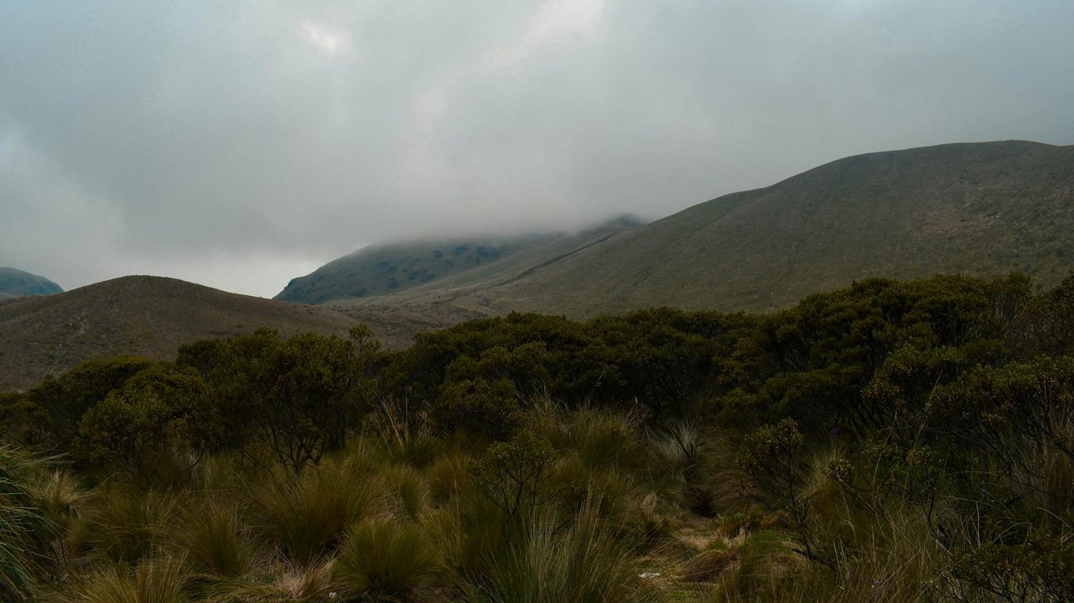 Cerro Jorupe