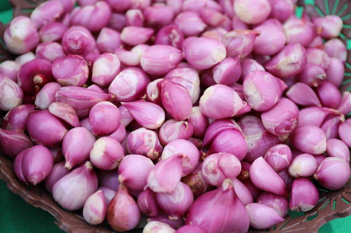 Bawang Beruntang
