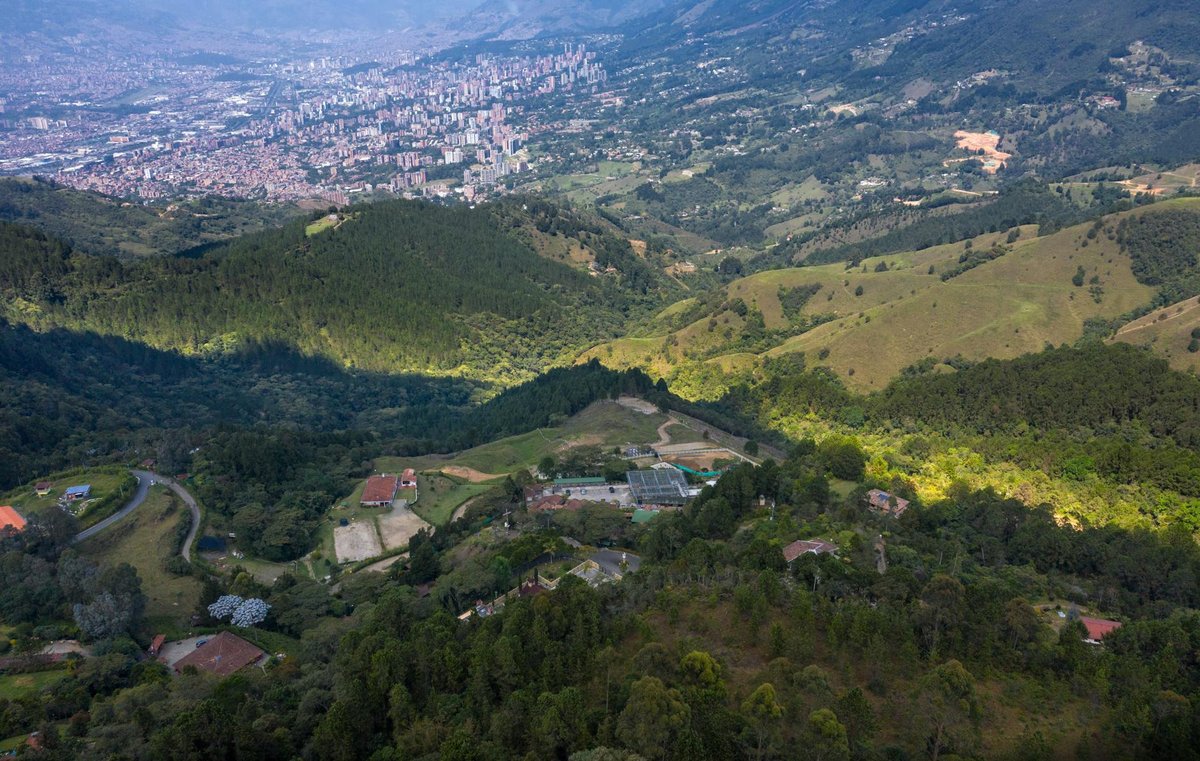 Alto Chupacaña