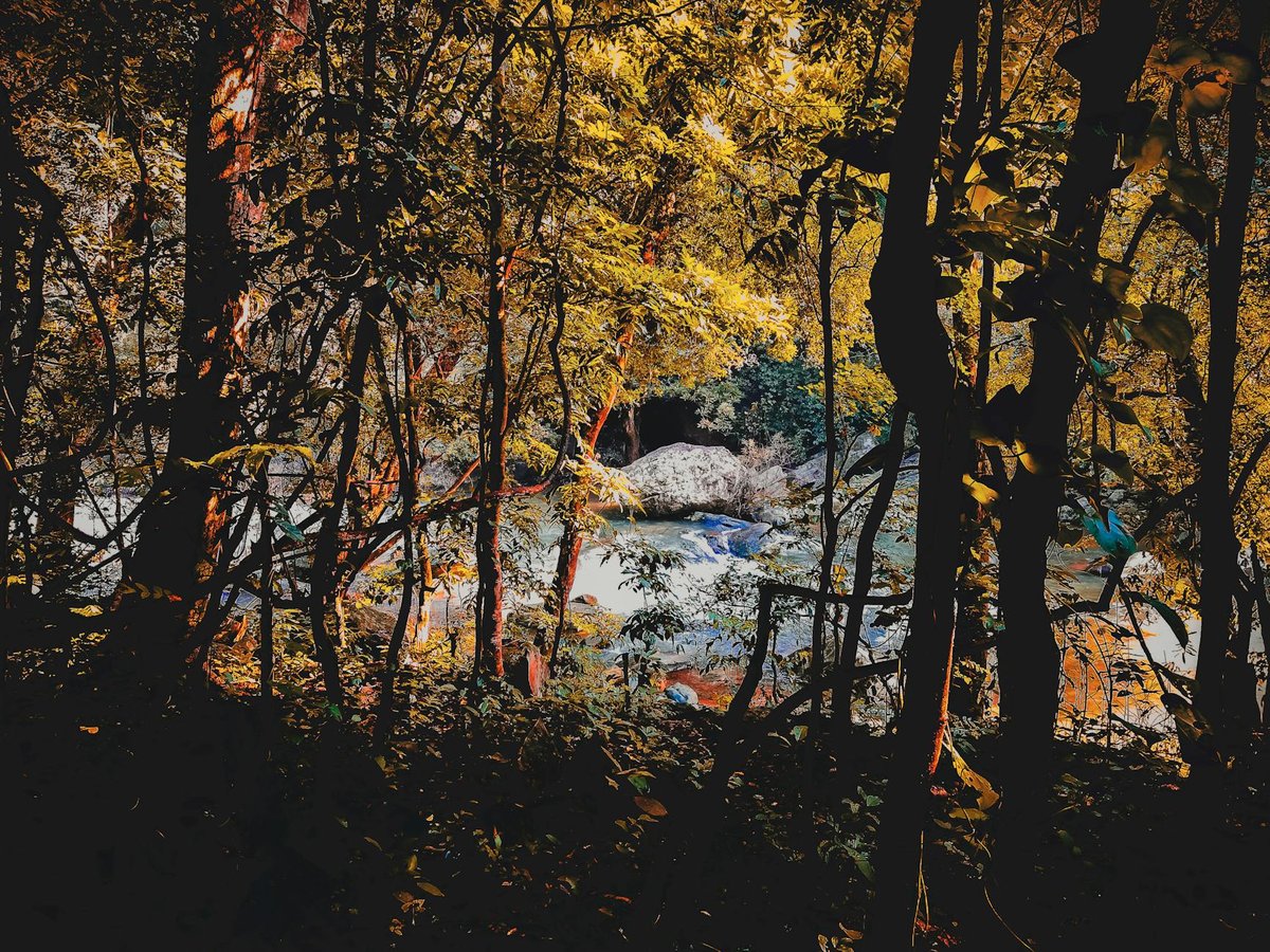 Deodarha Falls