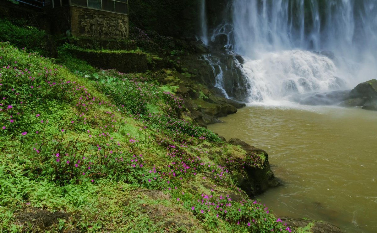 Đambri falls