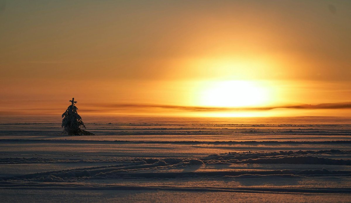 Östra Vuoinesglaciären