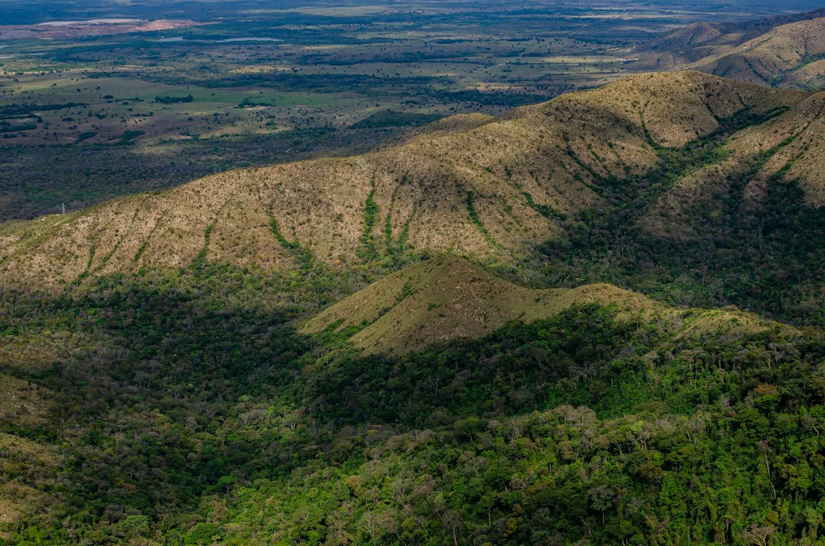 Chapada do Juá