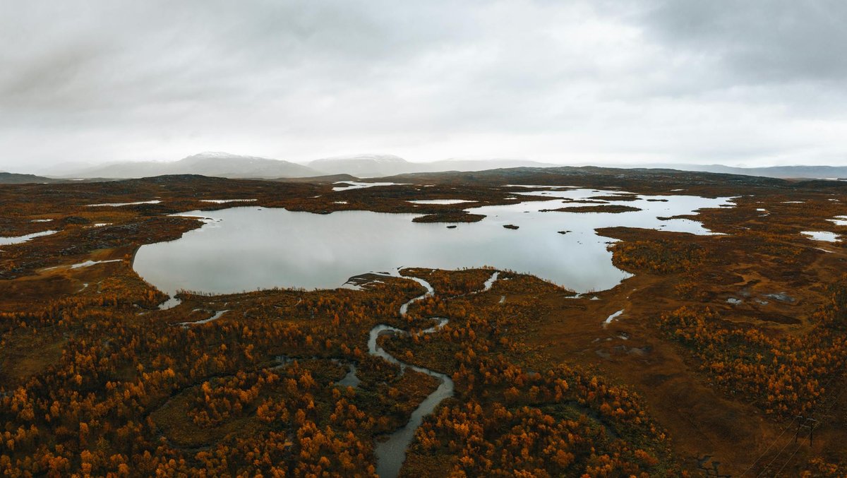 Vartasjekna