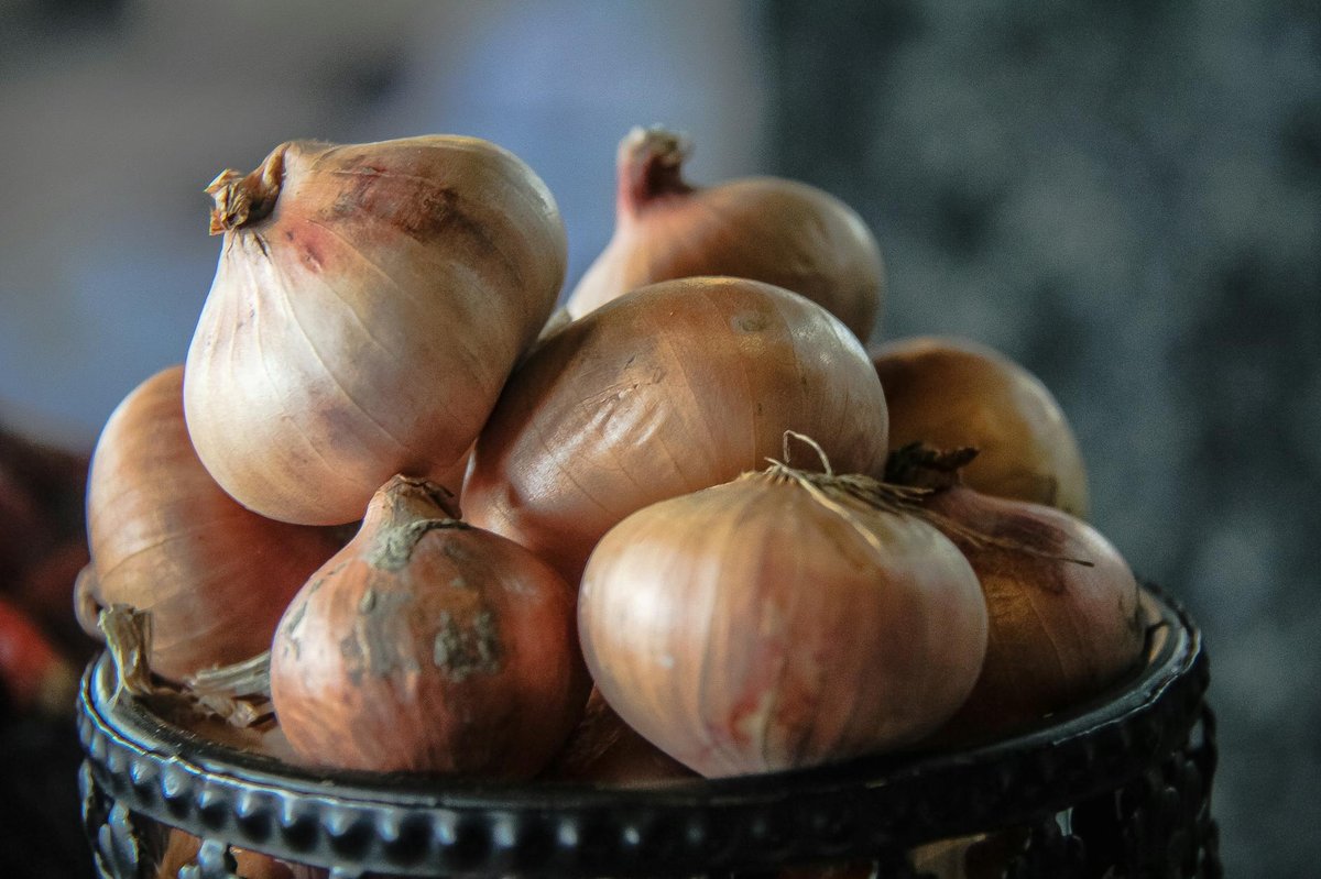 Bawang Lidung