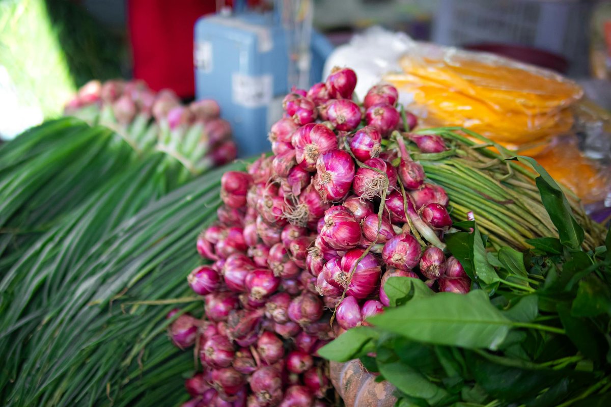 Bawang Rungku