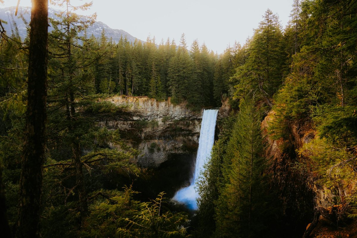 Arctomys Falls