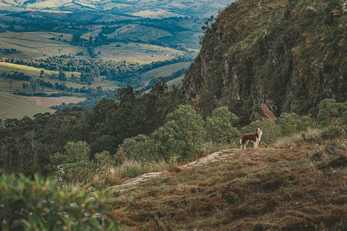Cerro Centinela