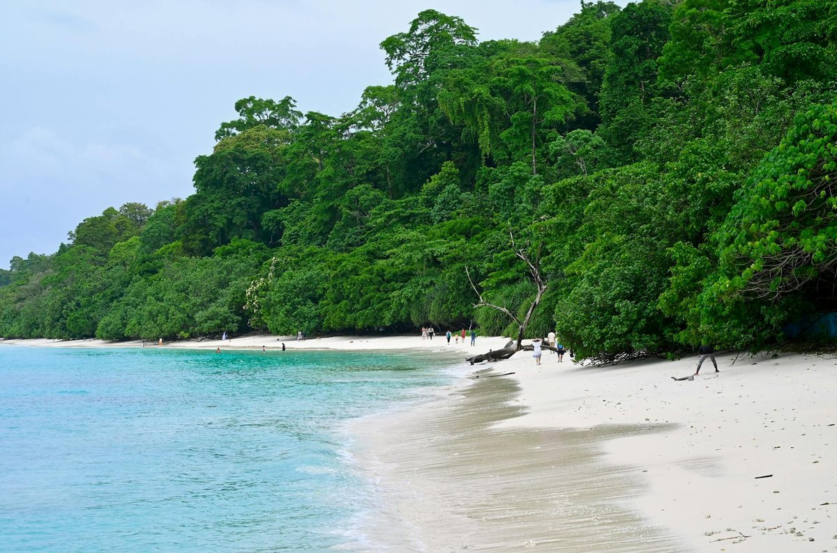 Campbell Bay National Park