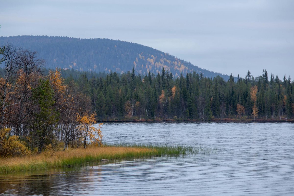 Korsatunturi