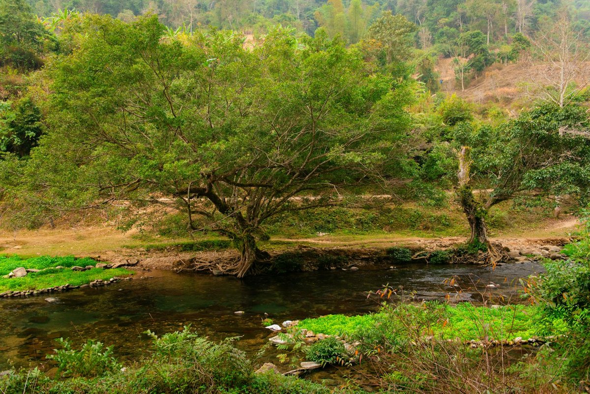Bản Nậm Moòng
