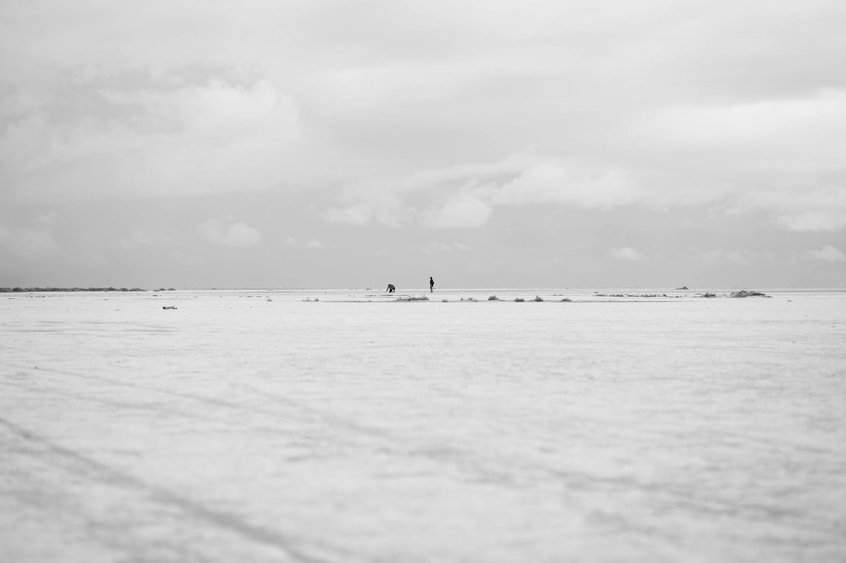 Pampa de las Salinas