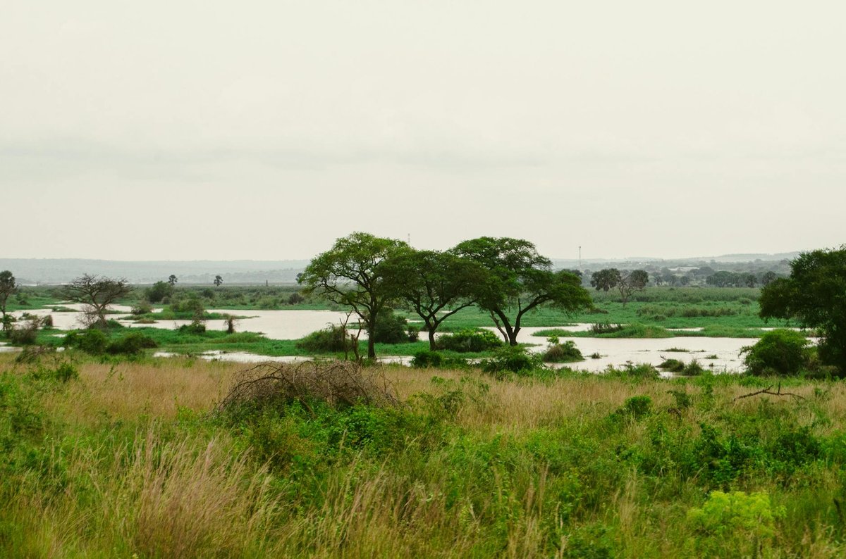 El Tuparro National Natural Park