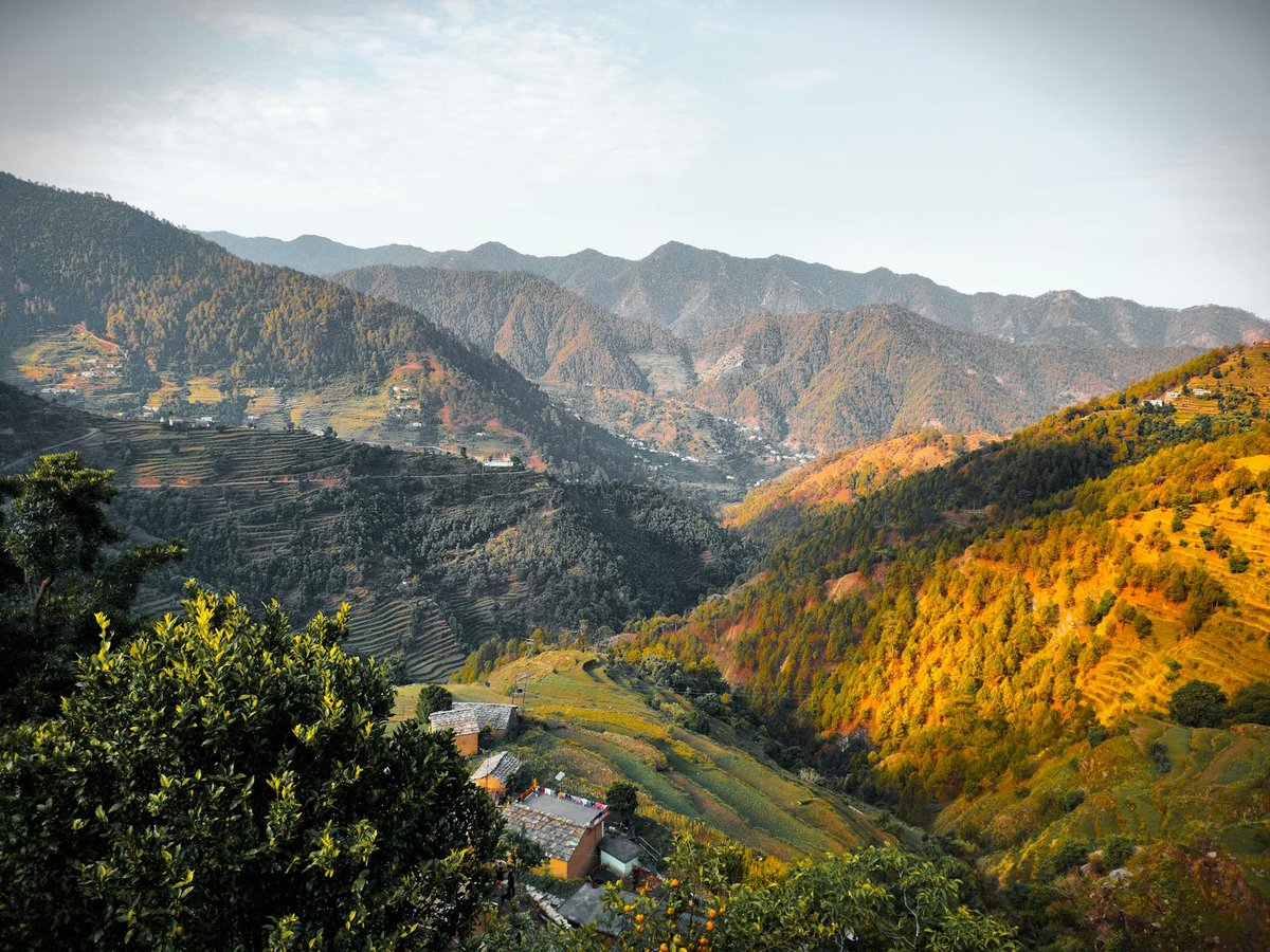Kosa Bānk