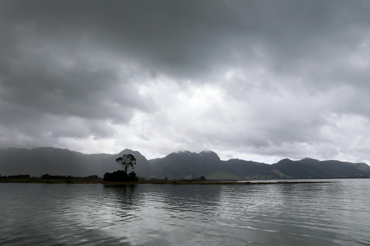 Tangaroa Seamount