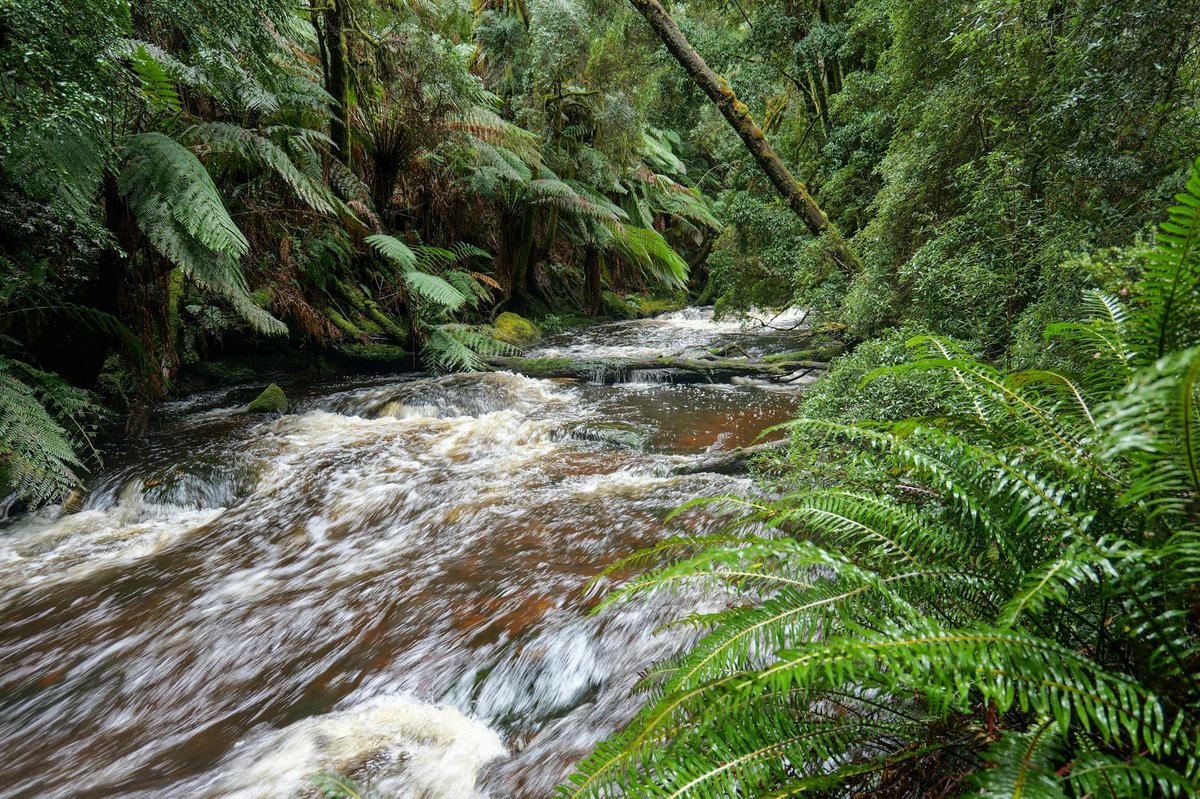Gordon Falls