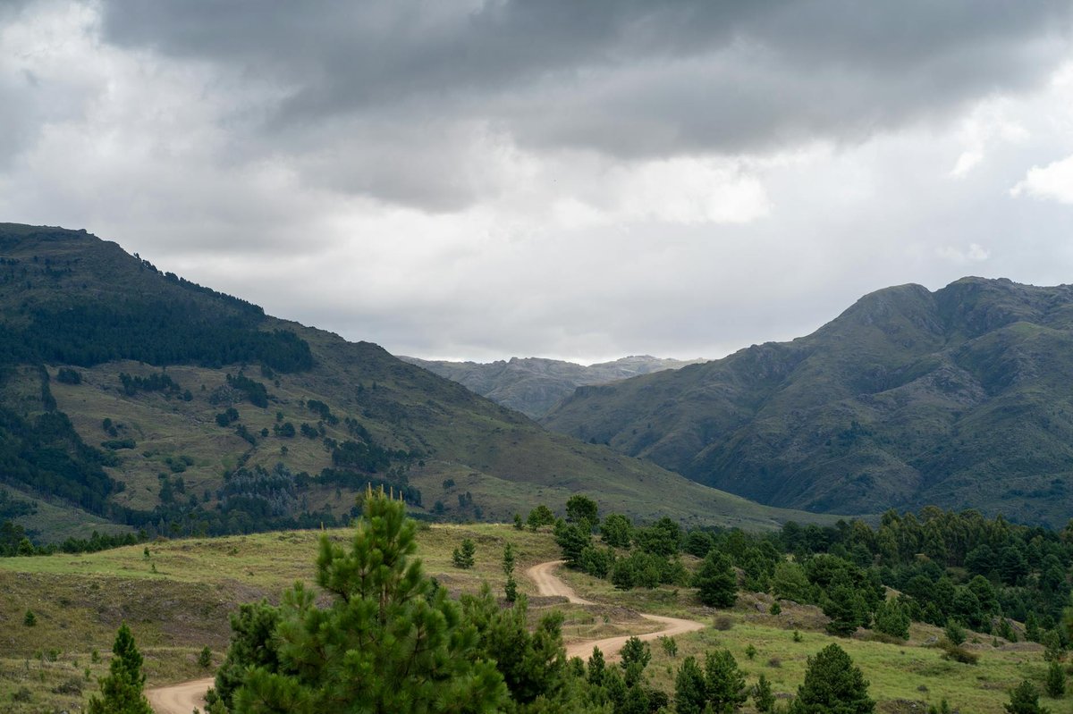 Paramillo National Natural Park