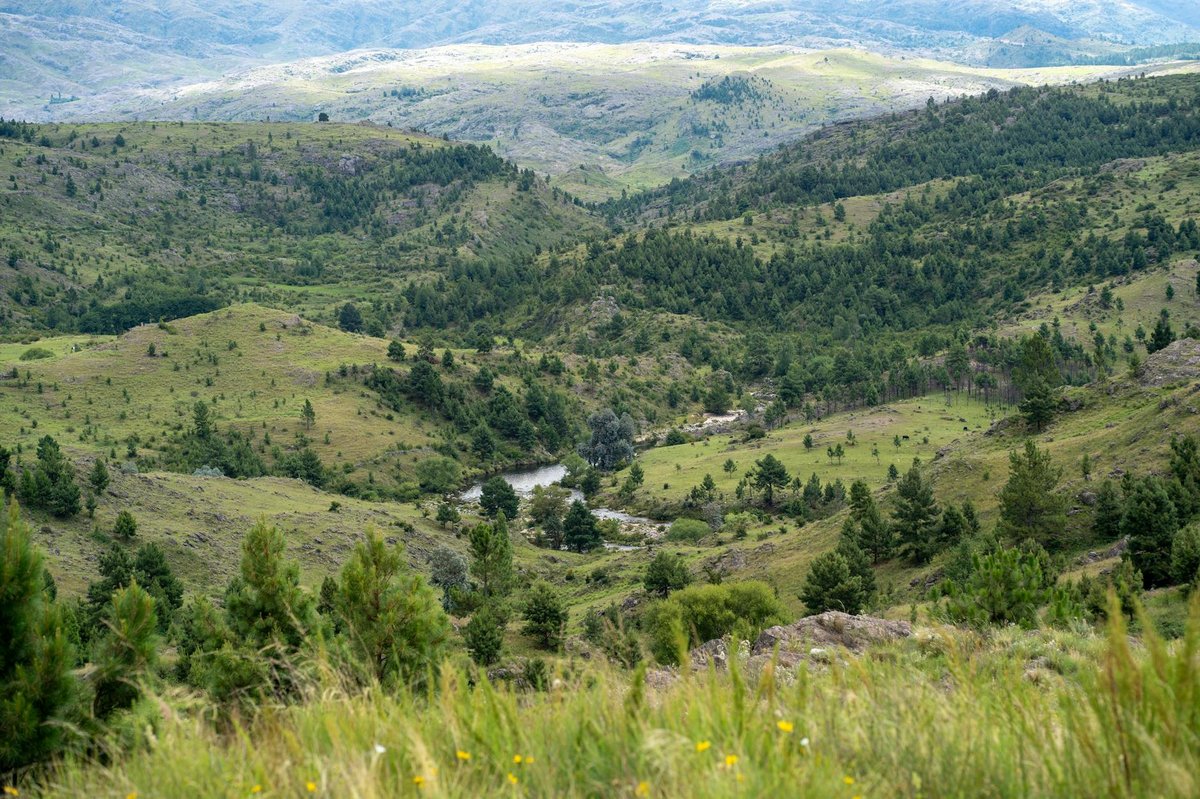 Traslasierra National Park
