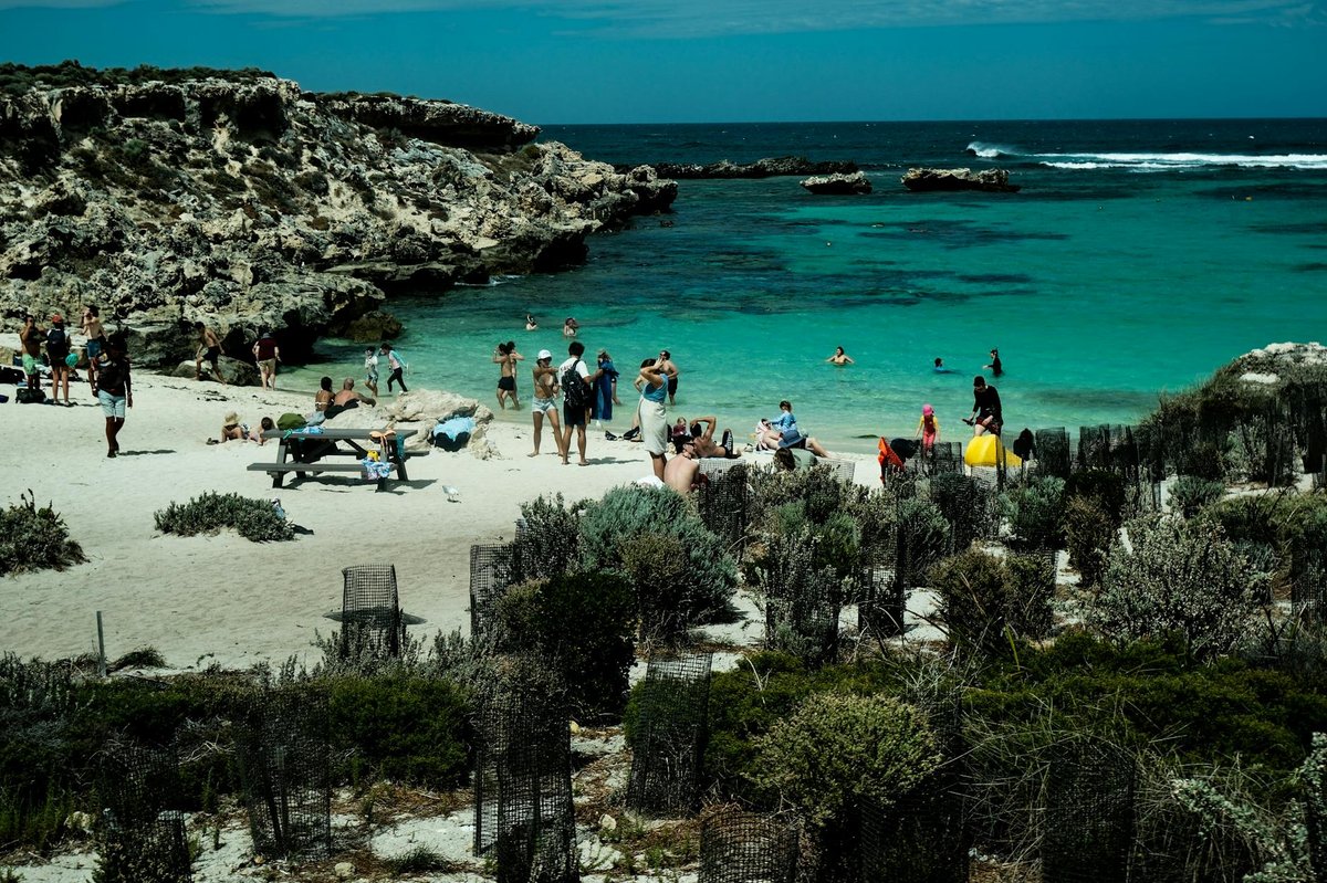 Blossoms Beach