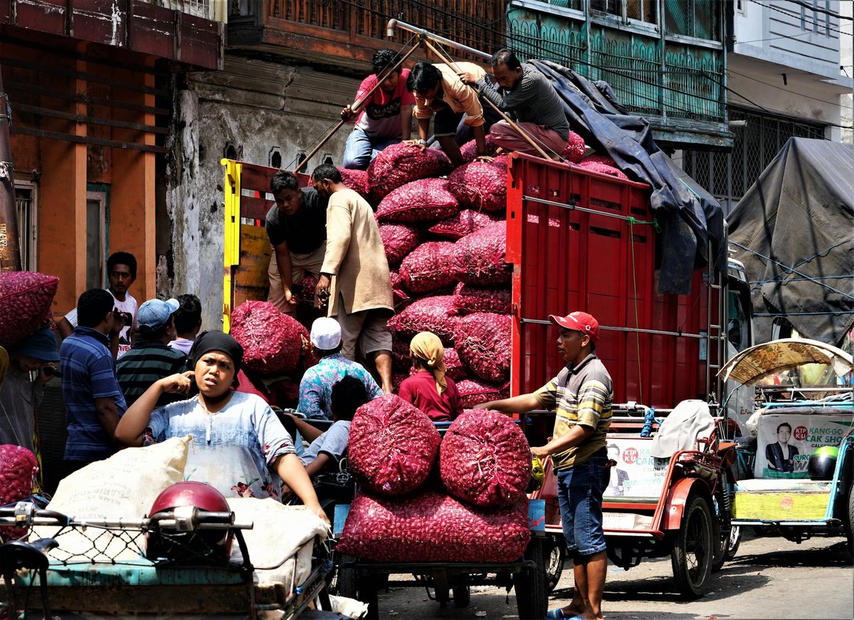 Bawang Tahal