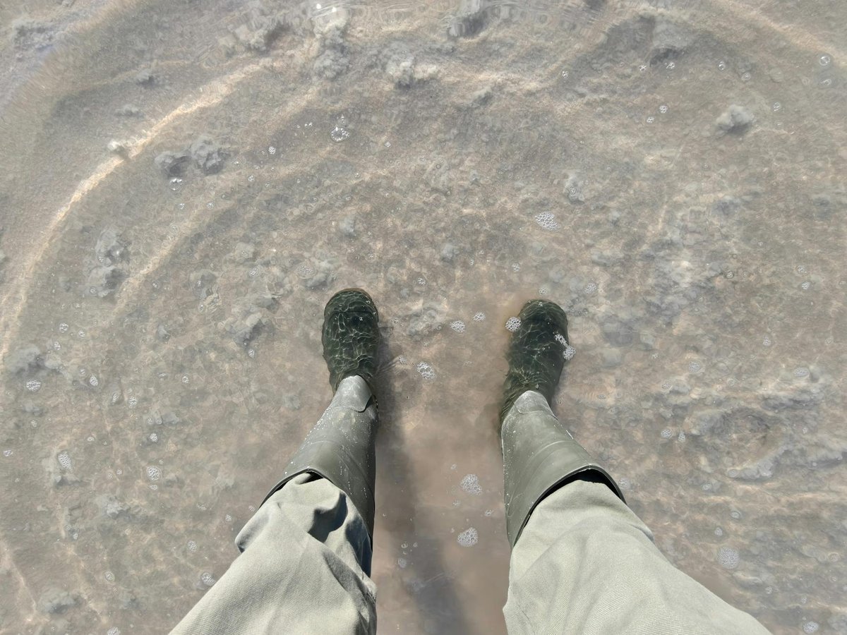 Salar del Huasco National Park