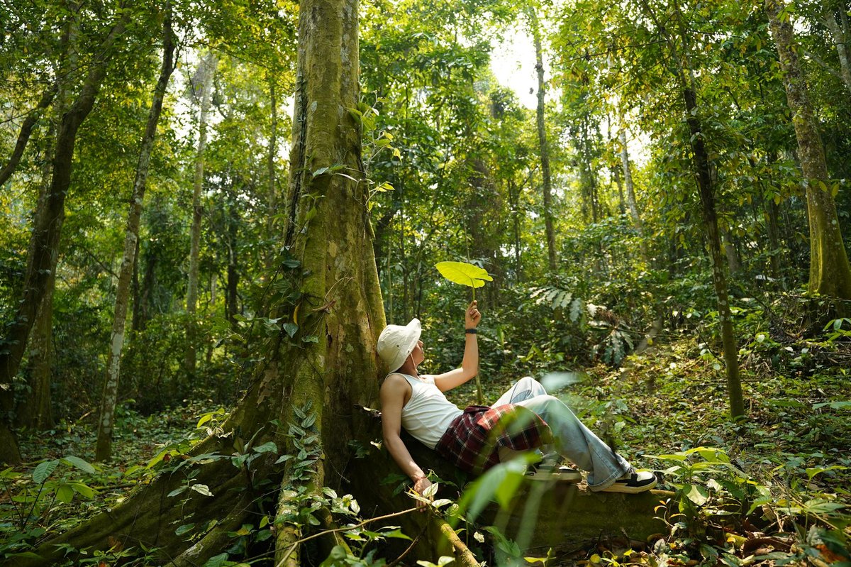 Chiribiquete National Park
