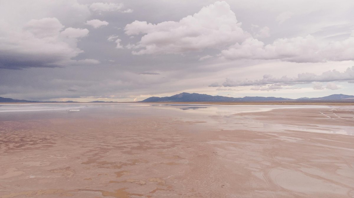 Salar Gallego