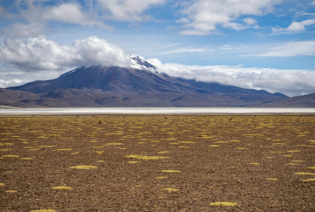 Salar de Gorbea