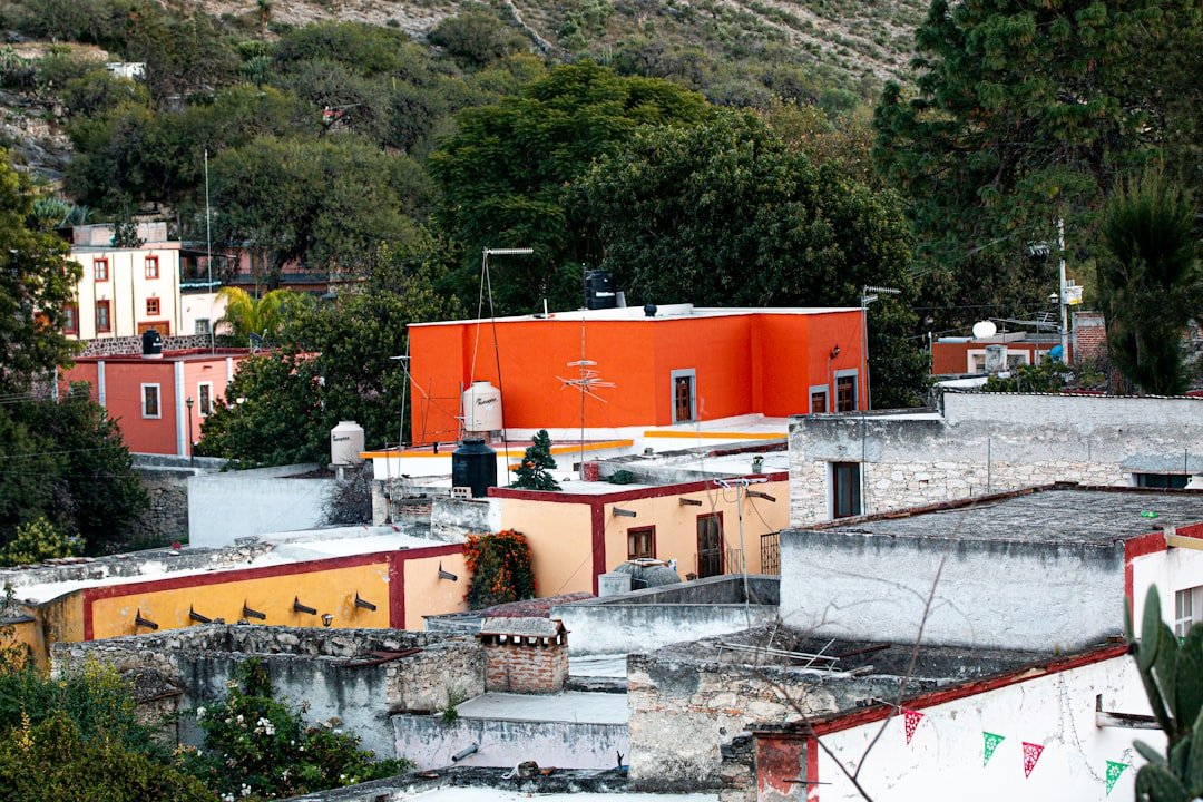 Alto de Mogna