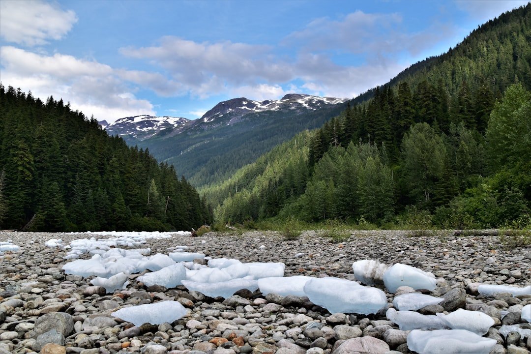 Capps Glacier