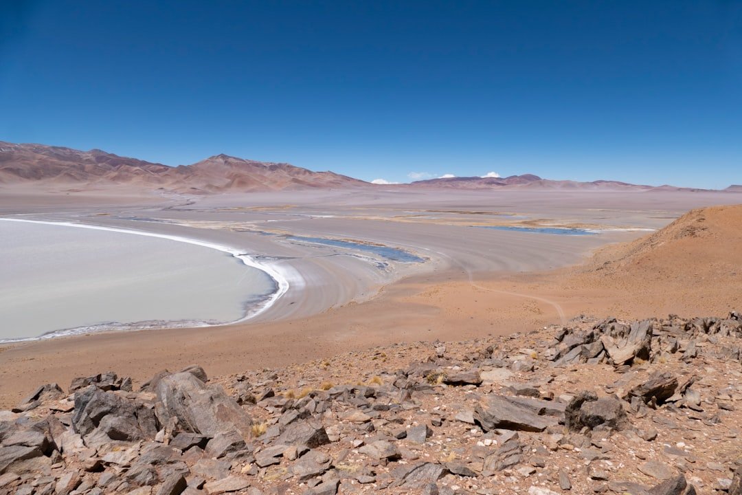 Alto de Laguna Colorada